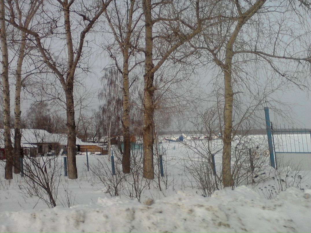 Дмитрий Гусев ϒ | Воронеж