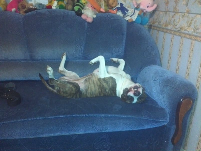 №21, Данил Девятов, 39 лет, Челябинск №21, Данил Девятов, 39 лет, Челябинск