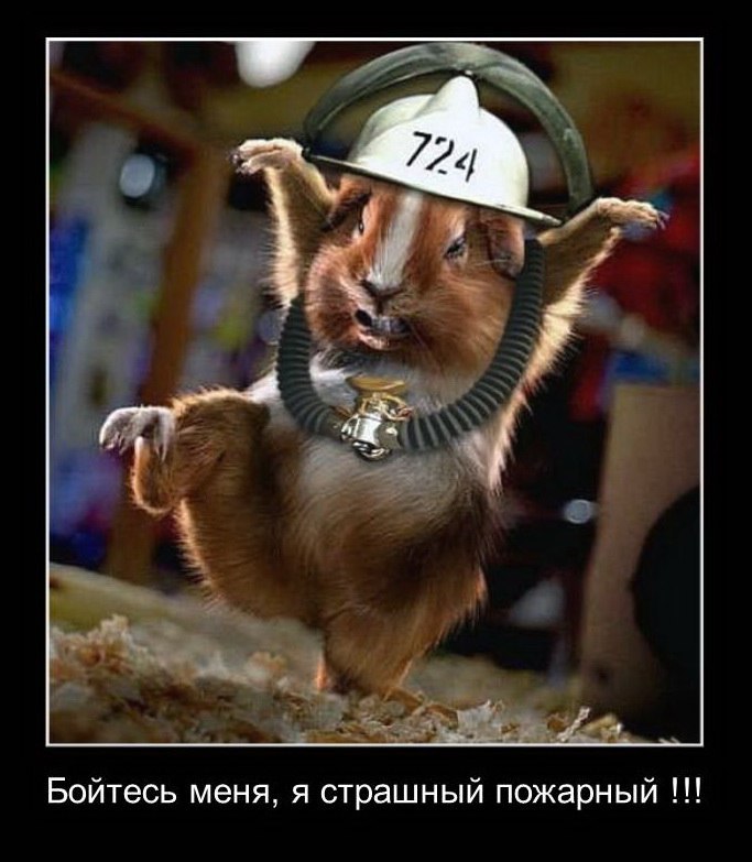 Андрей Межонов | Великий Новгород