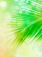 Наталья Савушкина | Санкт-Петербург