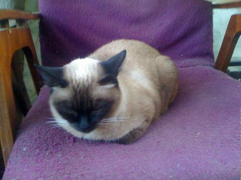 Леночка Романова | Москва