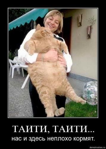 Антон Егоров | Краснознаменск