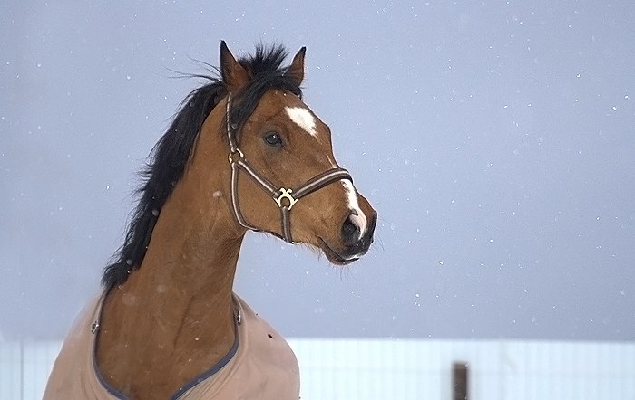 Мария Чернышева kiss@ | Москва