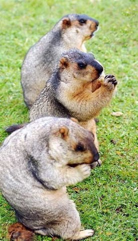 №30, Сэргэ Андреев №30, Сэргэ Андреев