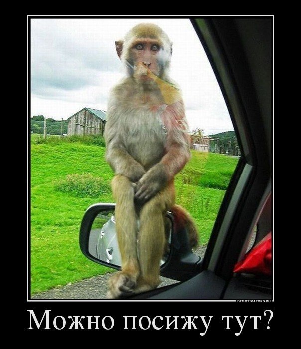 Алексей Смирнов | Череповец