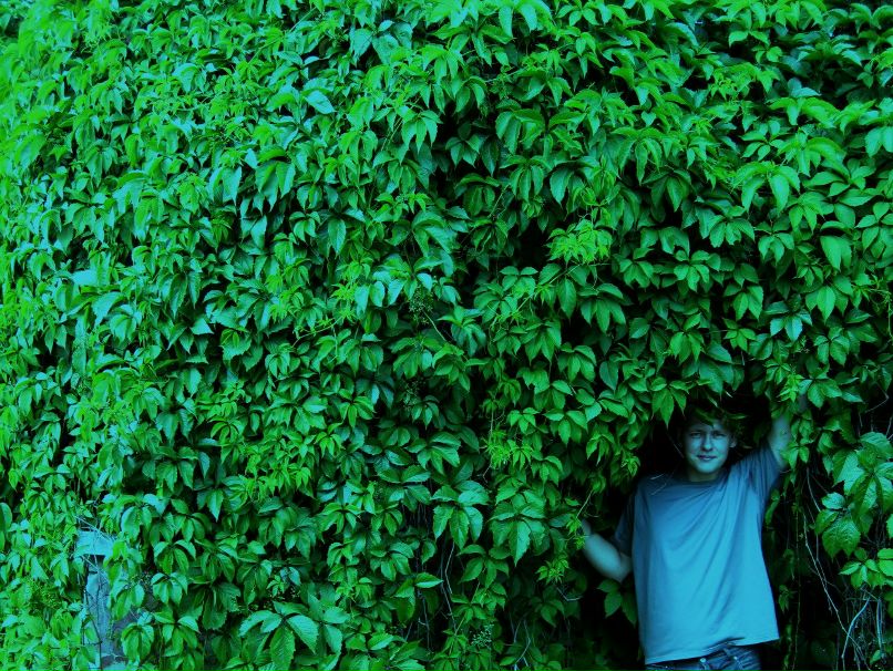 Света Баева Svet | Минск