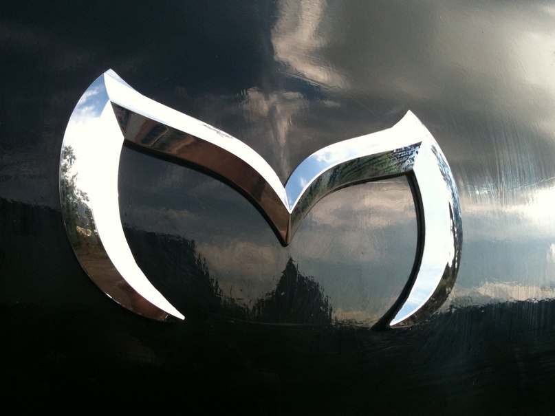 Василий Повалкин | Новосибирск