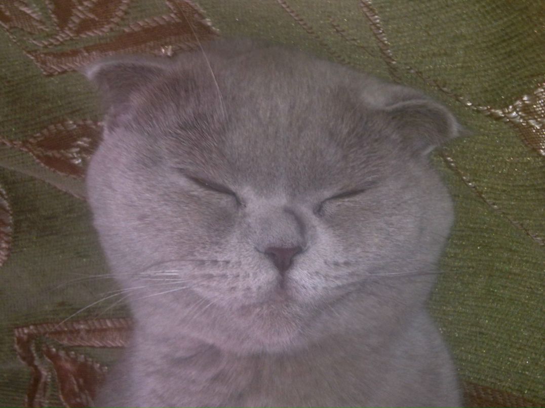 Максим Салтанов | Санкт-Петербург