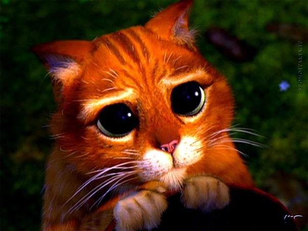 №7, Олег Сорокин, 32 года, Краснодар, Россия №7, Олег Сорокин, 32 года, Краснодар, Россия