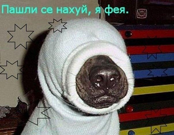 Наталия Дитина | Выборг