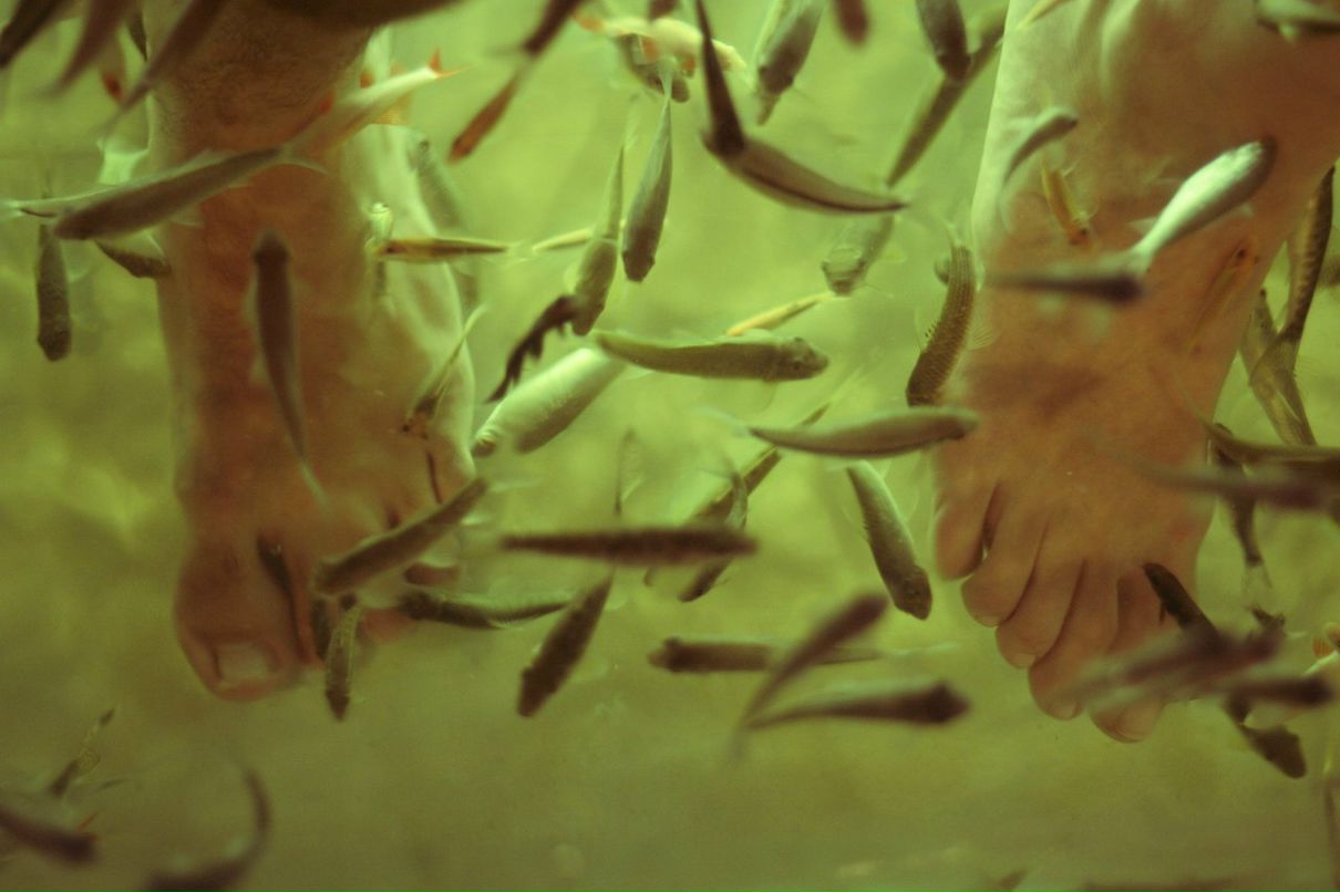 Мария Хандак | Москва