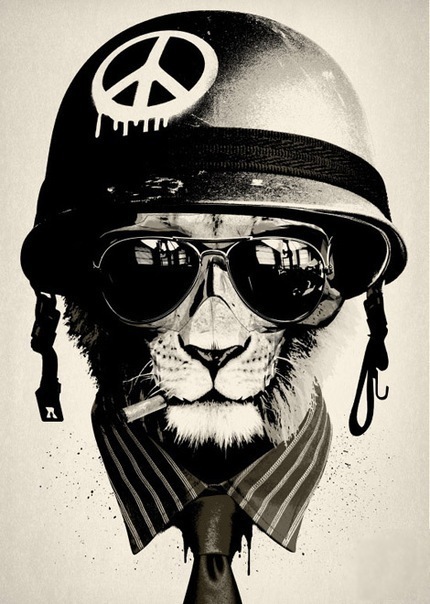 №20, Николай Набиркин №20, Николай Набиркин