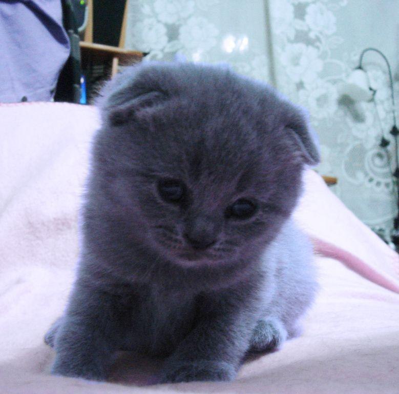 Ирина Вакер | Северобайкальск