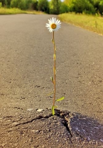 Алсу Маликова | 