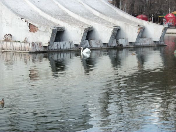 №79, Александр Моисеев №79, Александр Моисеев