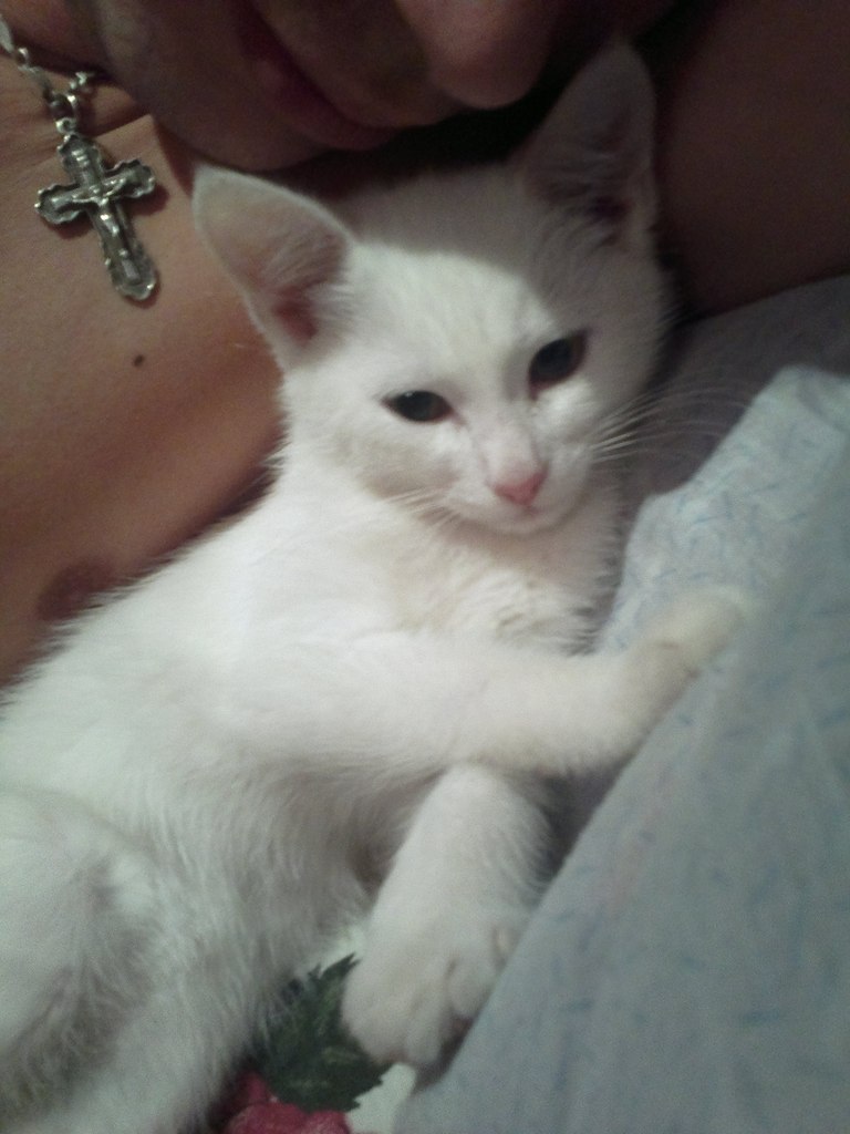 Богдан Цвилий | Барышевка