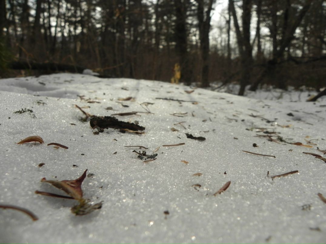 Полина Федоскова Teetotal | Владивосток