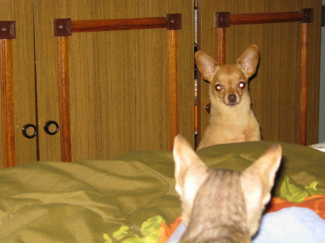 Наталья Загуляева | 