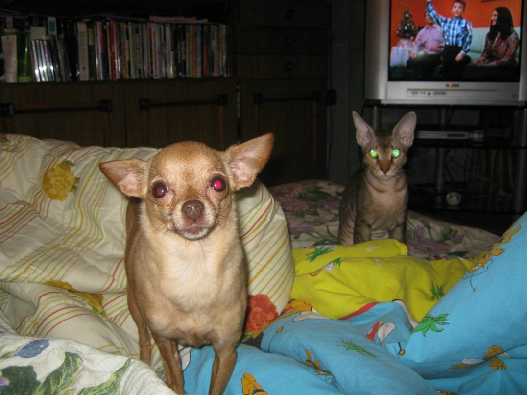 Наталья Загуляева | 