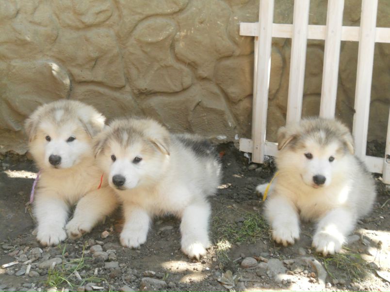 №61, Оксана Фиалкович, 47 лет, Днепр (Днепропетровск) №61, Оксана Фиалкович, 47 лет, Днепр (Днепропетровск)