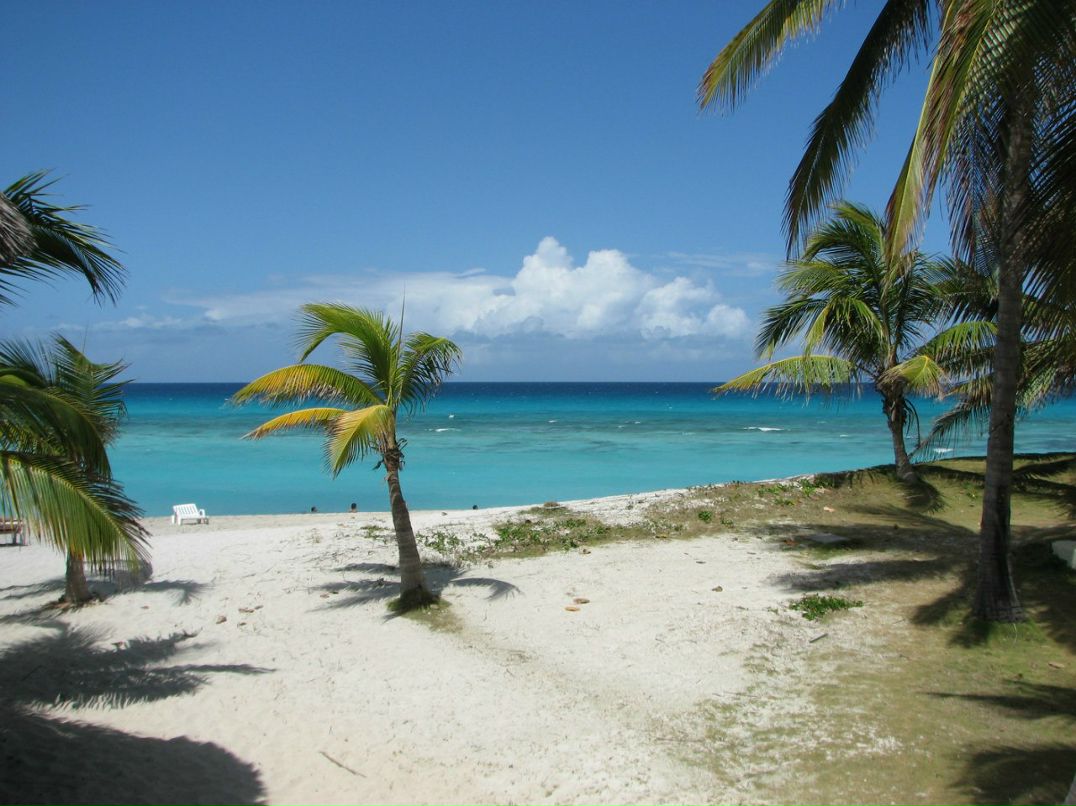 Наталья Гулий | Киев