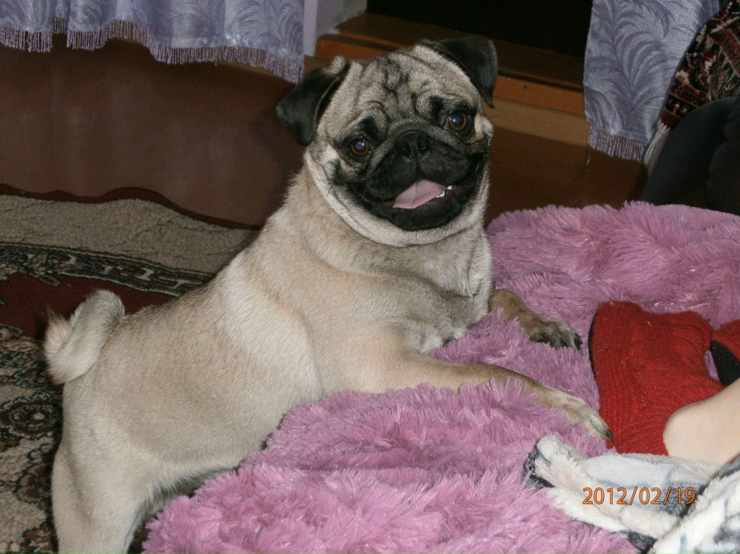 Татьяна Гордеева | Чита