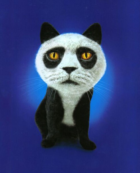 №1, Дарья Валуйская, 25 лет, Екатеринбург №1, Дарья Валуйская, 25 лет, Екатеринбург