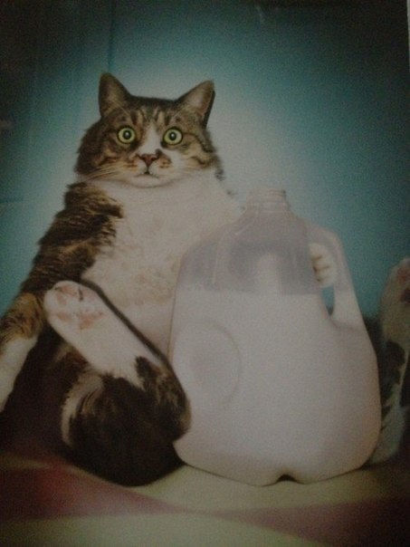 Артем Василенко | Киев