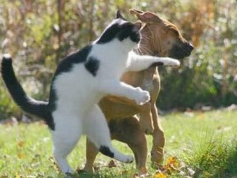 №53, Владимир Шишов, 26.2 №53, Владимир Шишов, 26.2