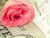 Ирина Галкина | Аксай