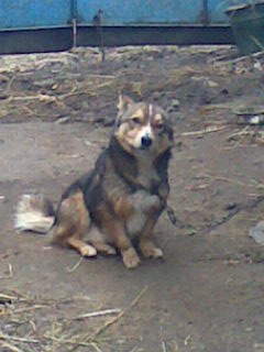 Миша Павлов | Белгород