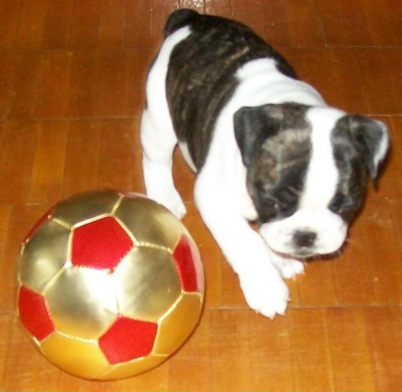 Олечка Чепель | Санкт-Петербург