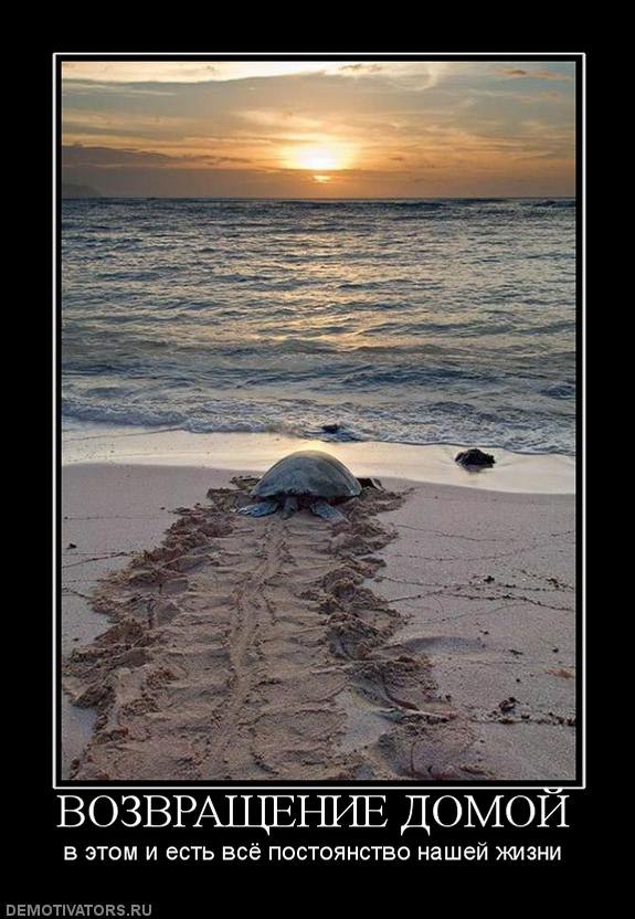 Сергей Маров | Воронеж