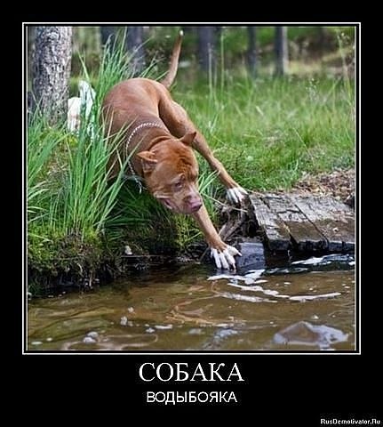 Наталья Воробьёва | Севастополь