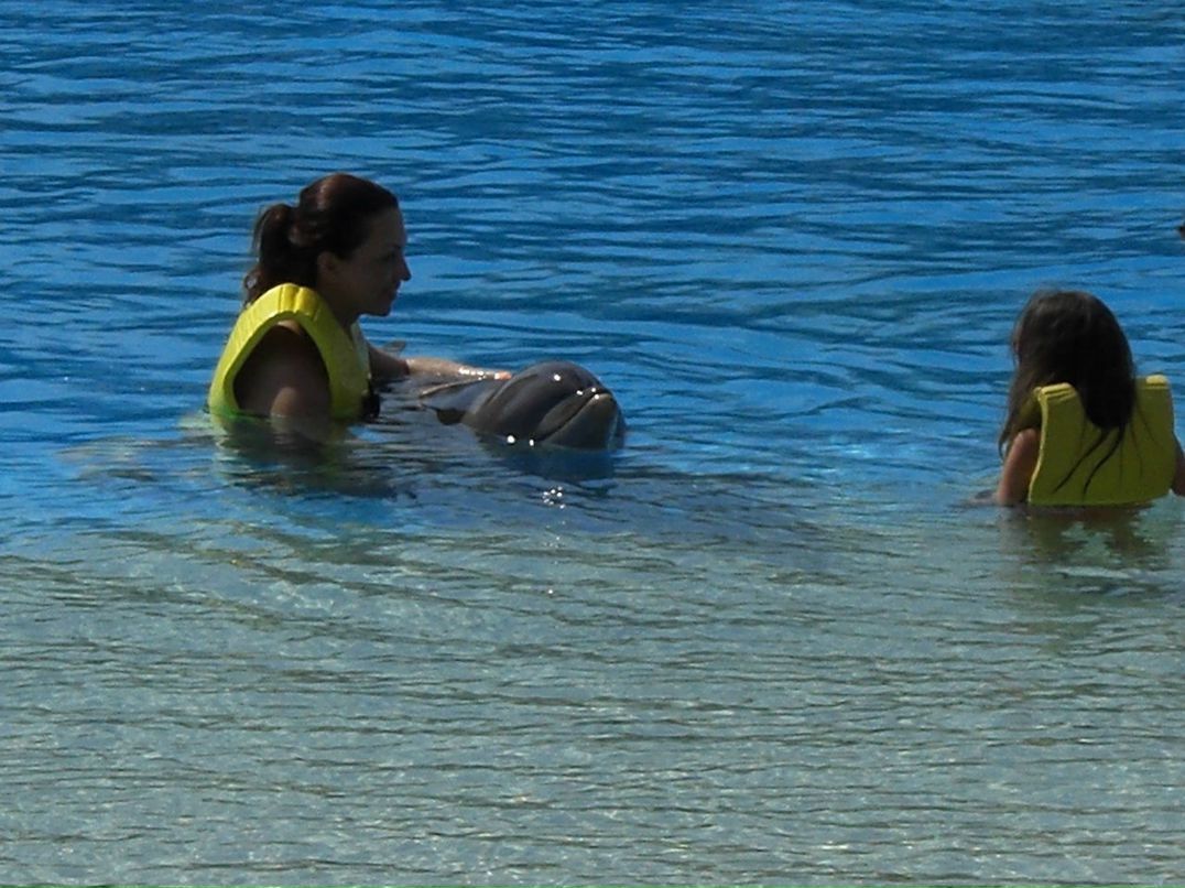 Olga Kudryavtzeva | New York City