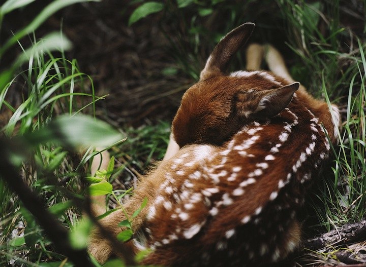 Деметрий Варламов | Санкт-Петербург