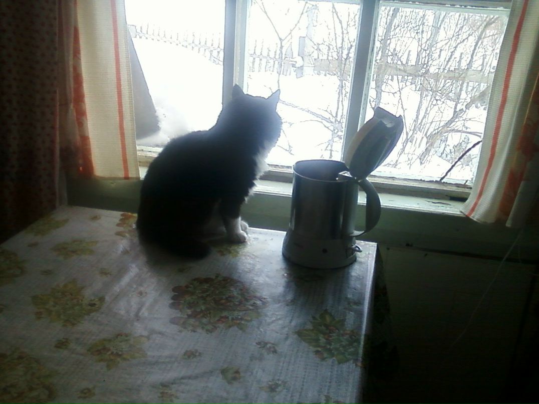 Людмила Рудая | Медвежьегорск