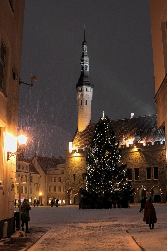 Сергей Микушкин | Санкт-Петербург