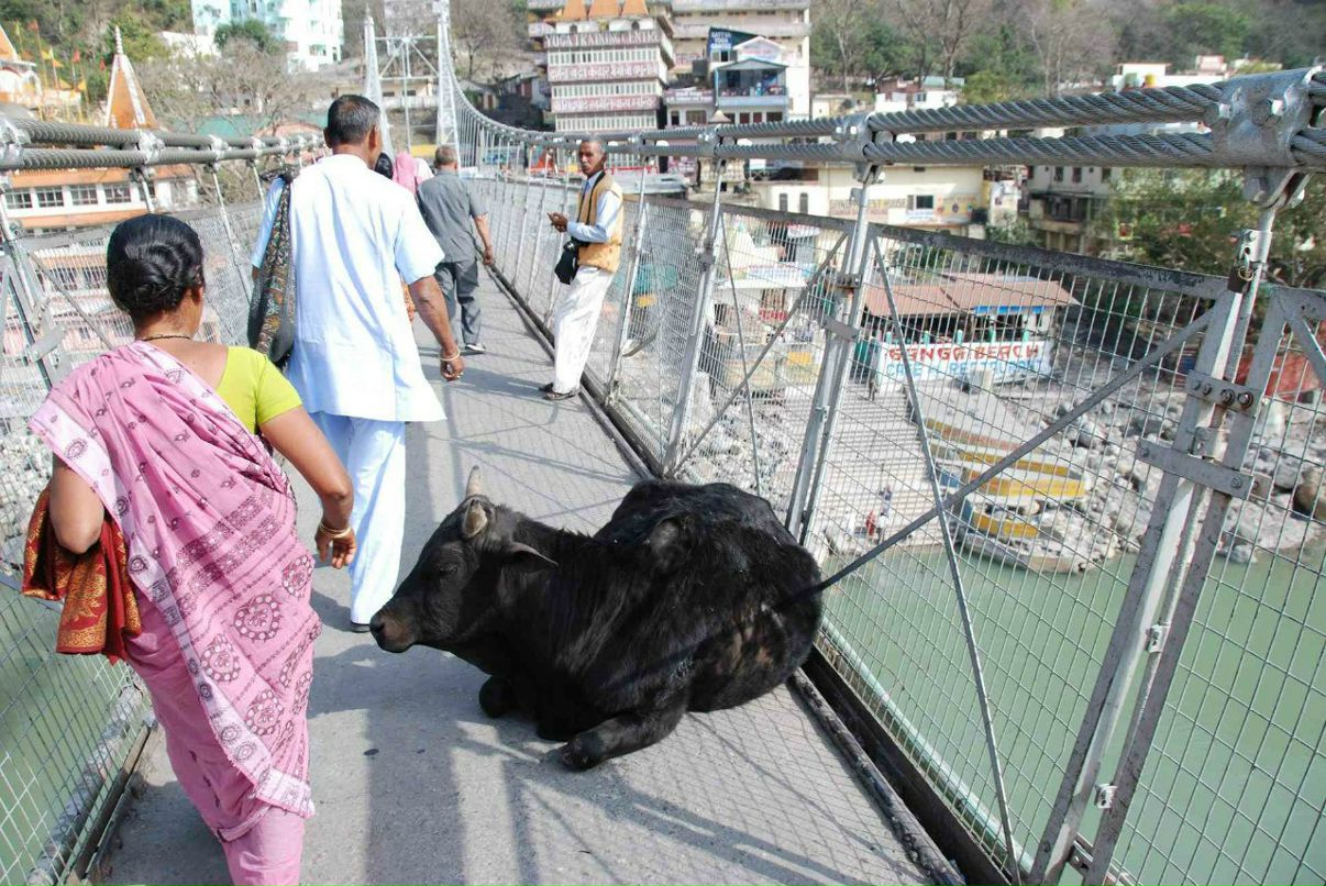 Олег Доманов | Кемерово