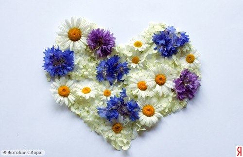 Светлана Салехова | Донецк