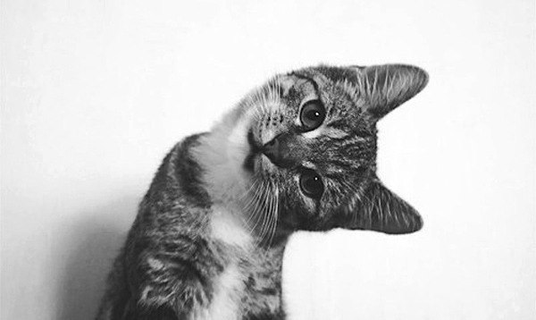 Елизавета Урываева | Москва