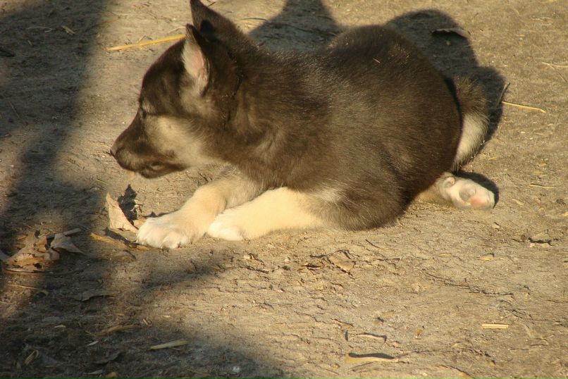 Вова Федус | Тернополь