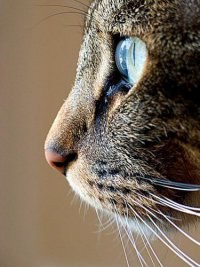 Дмитрий Осолихин | Сызрань