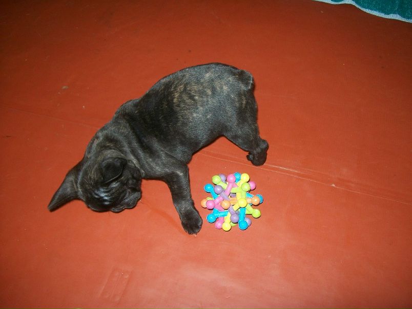 №2, Михаил Прохоров, 46 лет, Харьков №2, Михаил Прохоров, 46 лет, Харьков