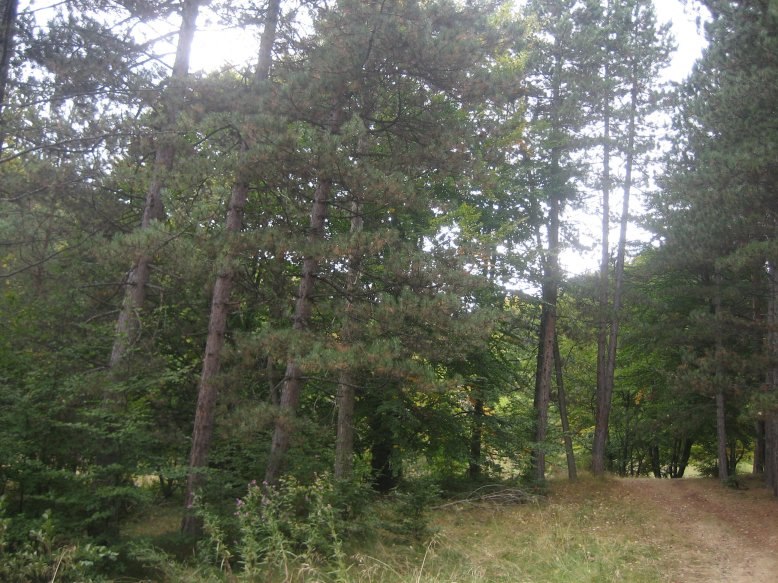 Людмила Якубова | Владивосток