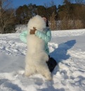 Яна Логинова, Ступино, Россия, 