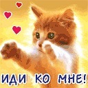 №91, Светлана Лукьянчук, Скадовск №91, Светлана Лукьянчук, Скадовск