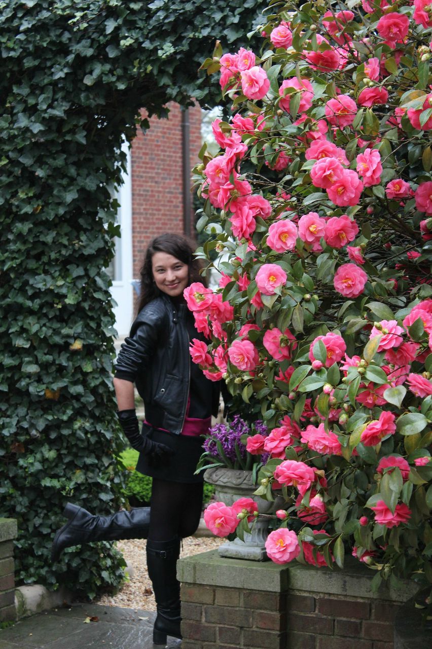 Анжела Мезина | New York City