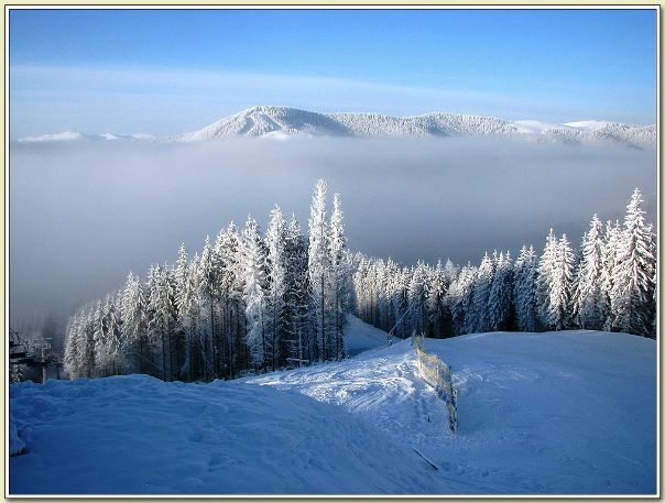 №91, Ігор Довганич, 36 лет №91, Ігор Довганич, 36 лет