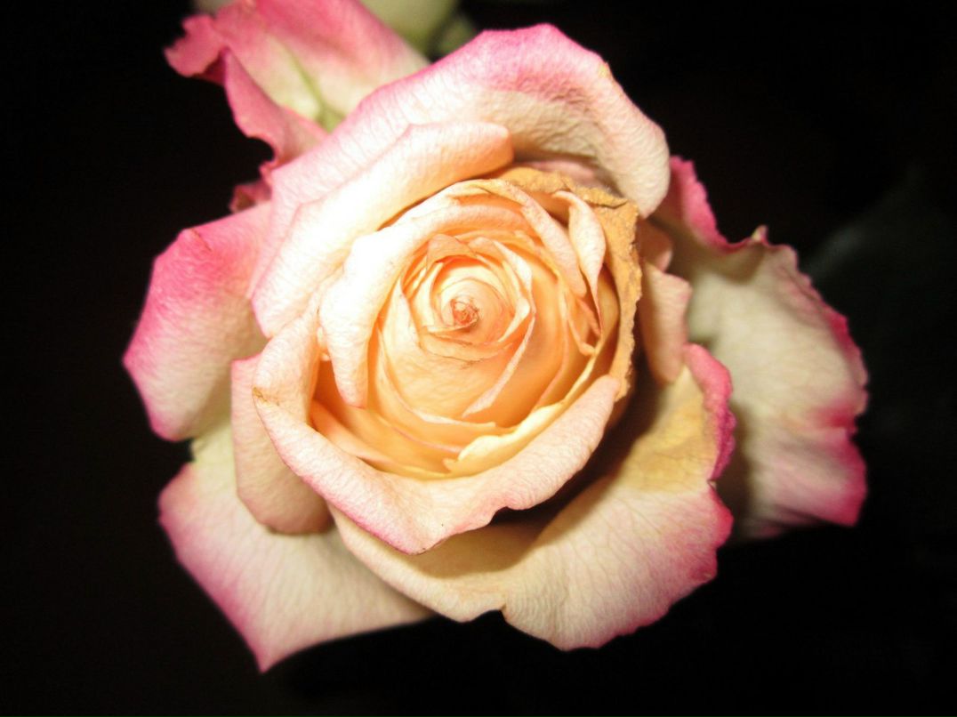 Ольга Куликова | Сочи